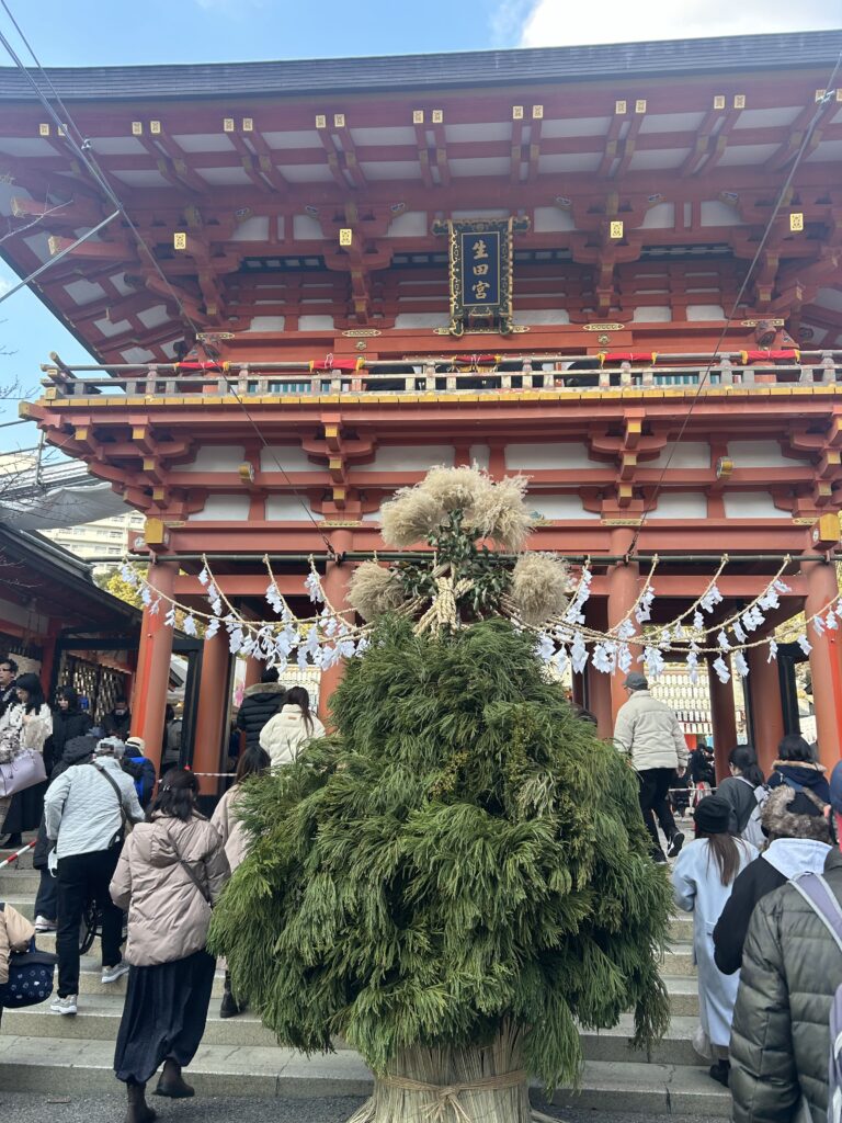 お正月 生田神社 杉盛