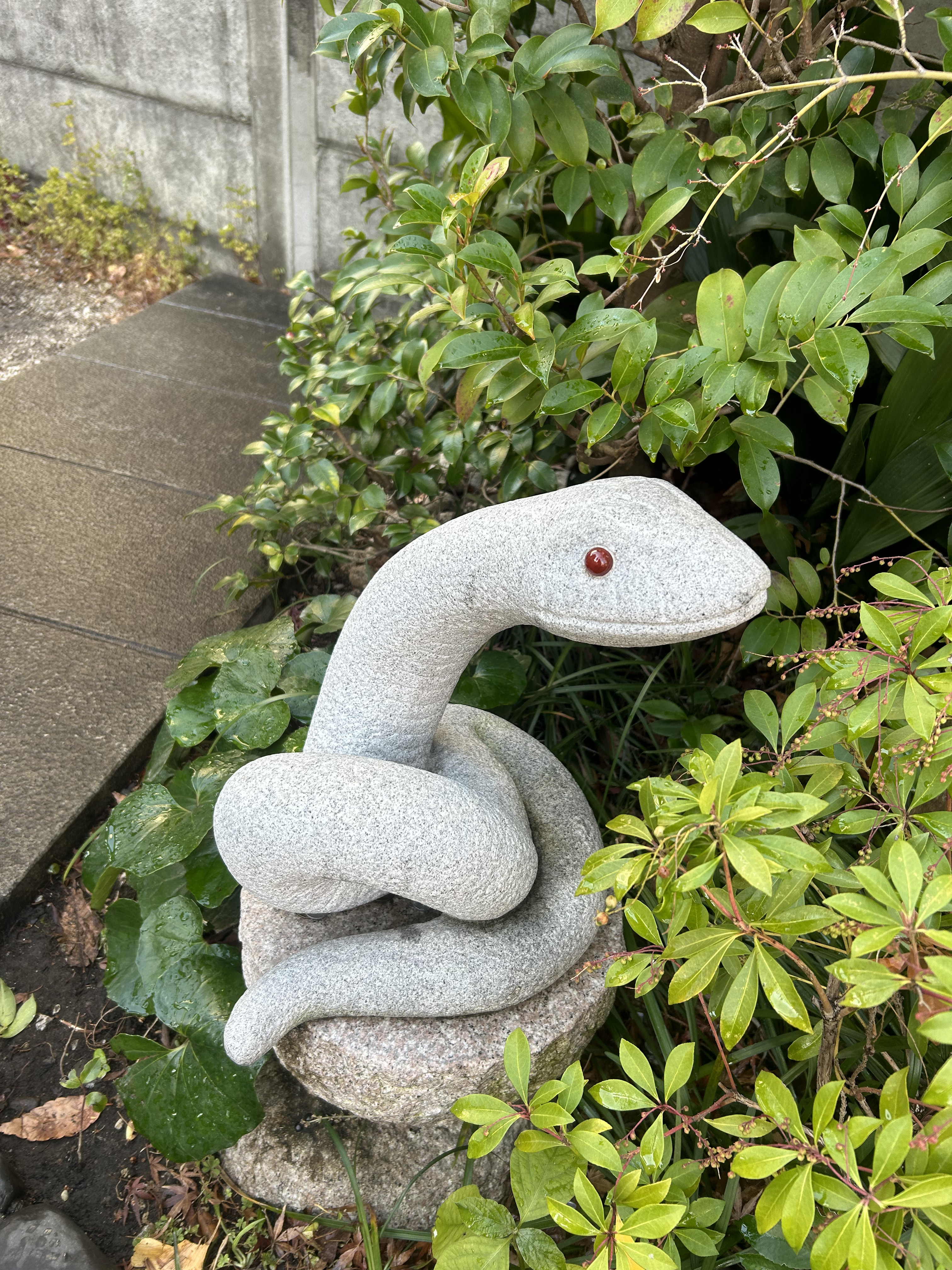 蛇窪神社の石の白蛇さま