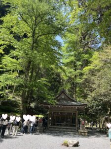 新緑の貴船神社の奥宮本殿前