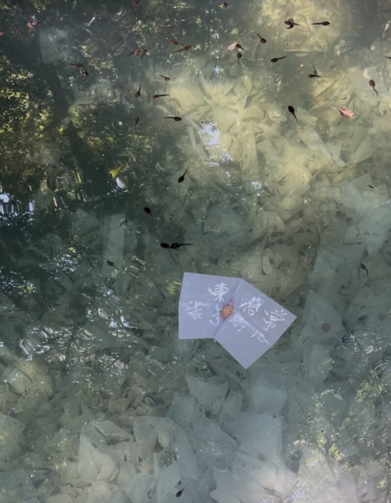 鏡の池 縁占い 沈んでいく和紙