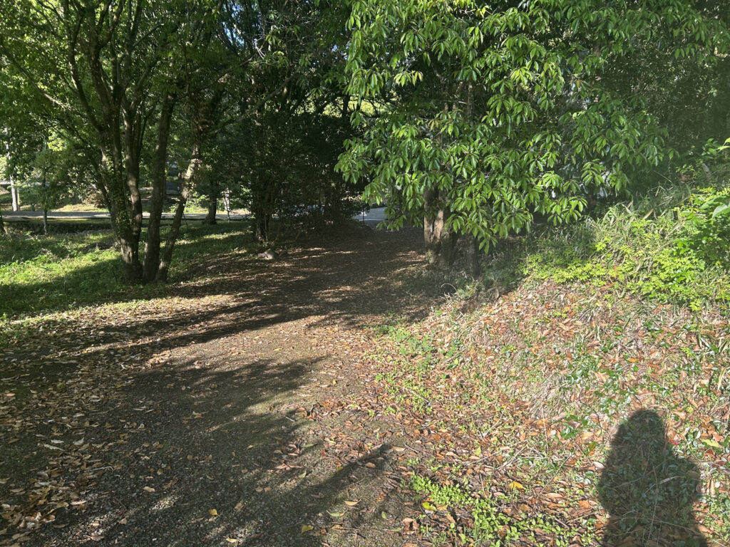 宇佐神宮　願掛け地蔵への道