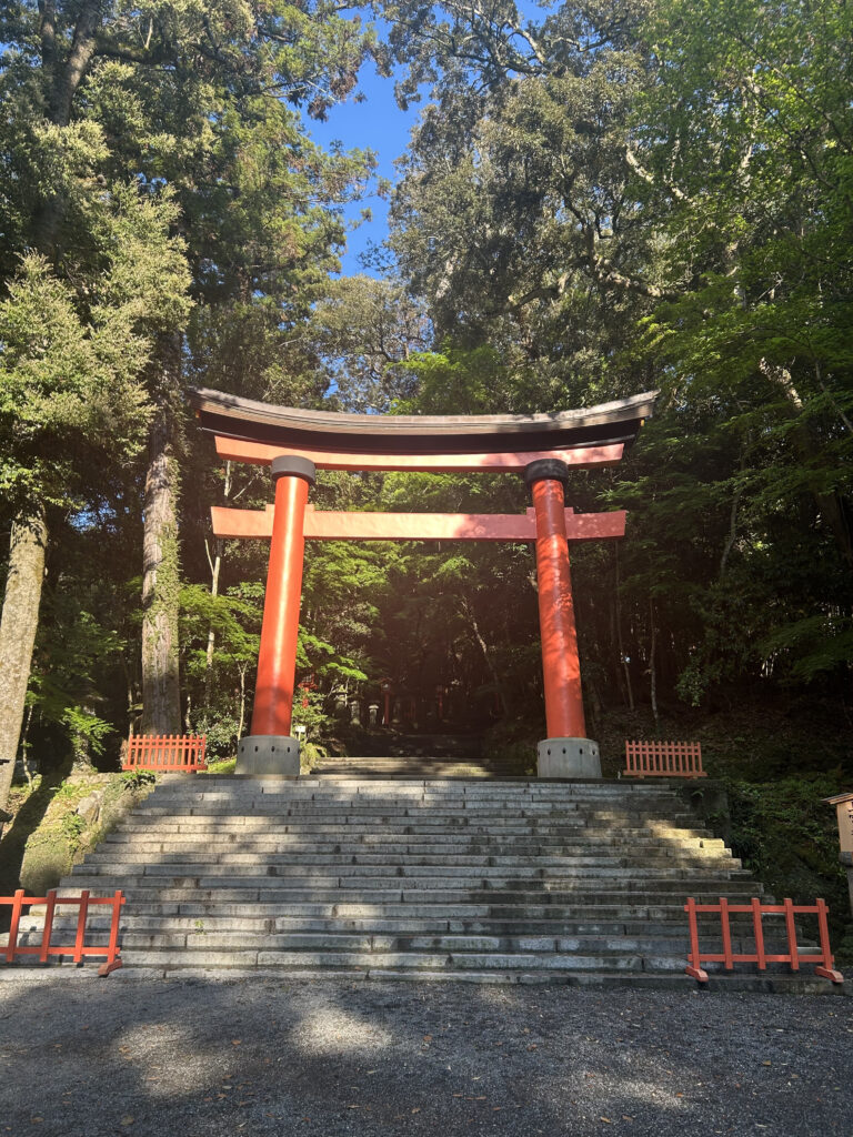 宇佐神宮　境内　鳥居　参道