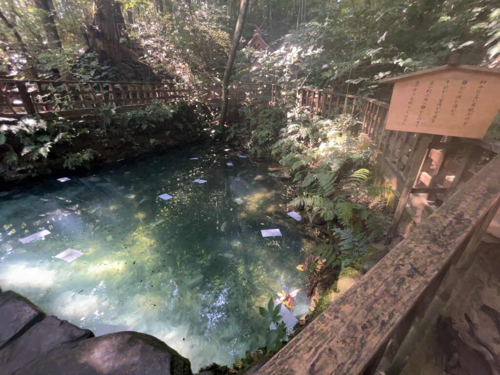 八重垣神社 奥の院 鏡の池